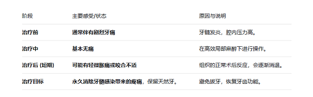 深圳大牙杜牙根價錢