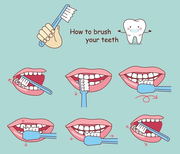刷牙方法.jpg